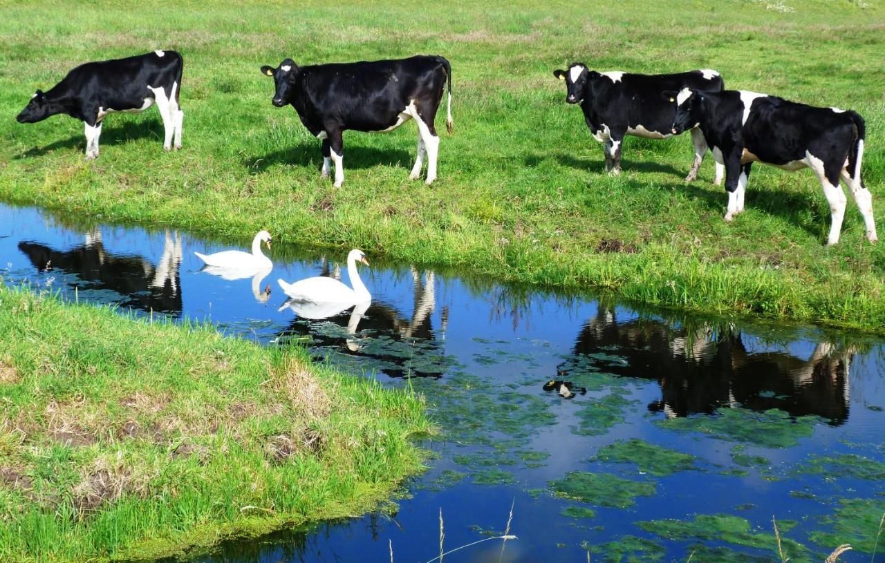 Woubrugge Logies Villa Dış mekan fotoğraf